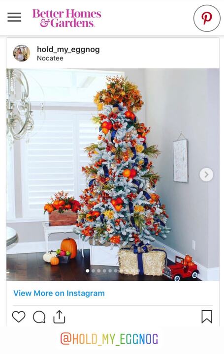 Better Homes & Gardens sharing a Hold My Eggnog tree in orange, red and navy